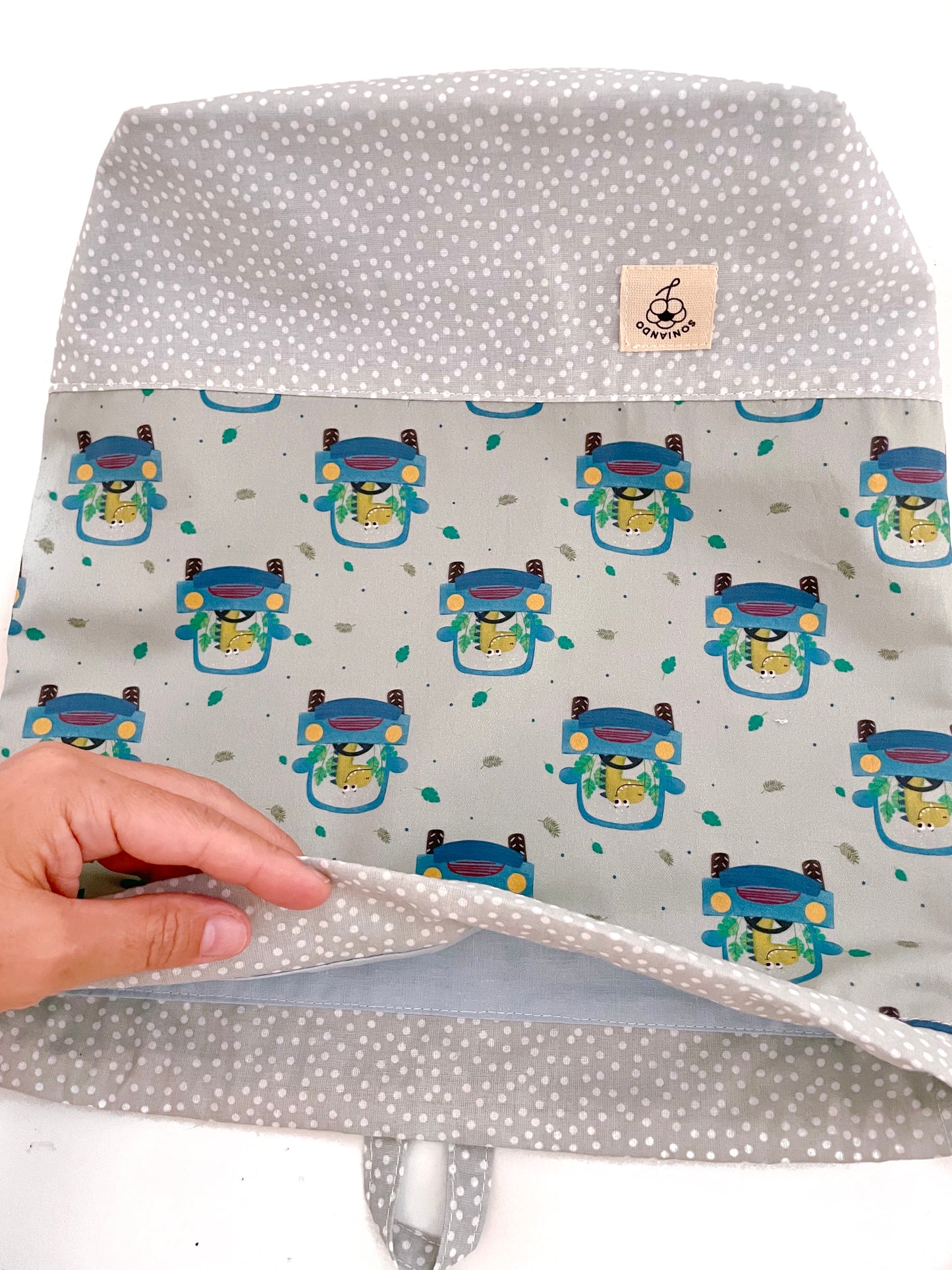 SET ASILO DINOS